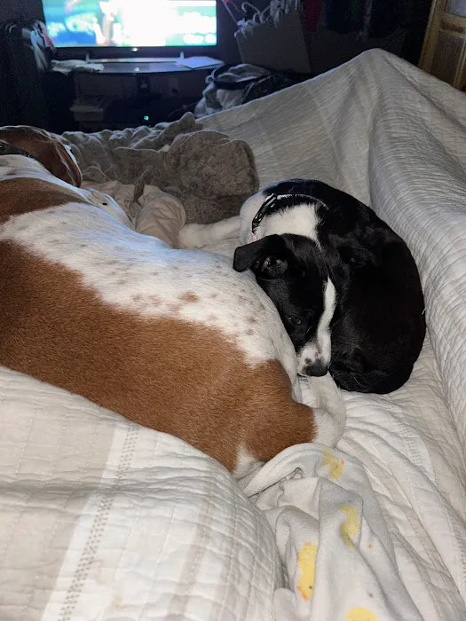 Parkway Animal Hospital Picture 5