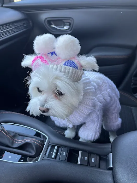 Parkway Animal Hospital Picture 8