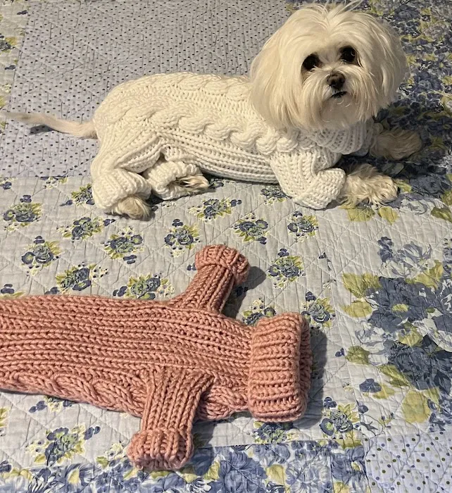 Parkway Animal Hospital Picture 9