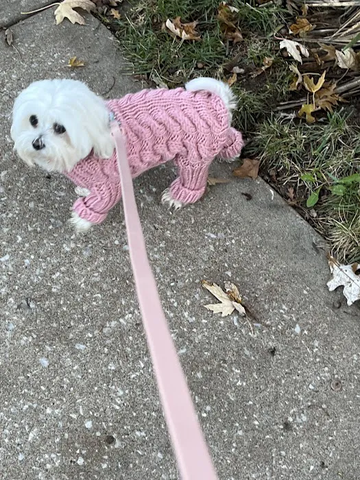 Parkway Animal Hospital Picture 7