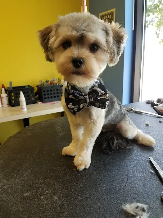 Cedar Creek Pet Hospital & Urgent Vet Care in Olathe Picture 1