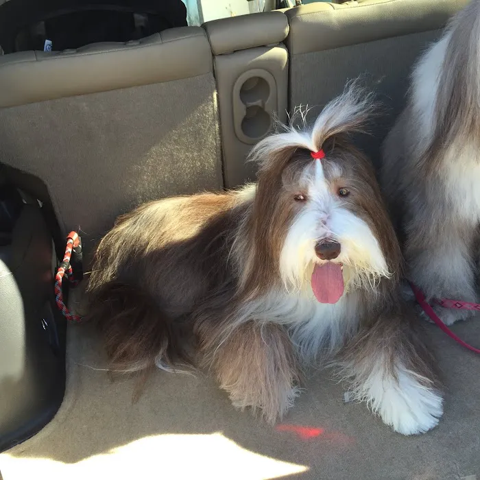 Cedar Creek Pet Hospital & Urgent Vet Care in Olathe Picture 2