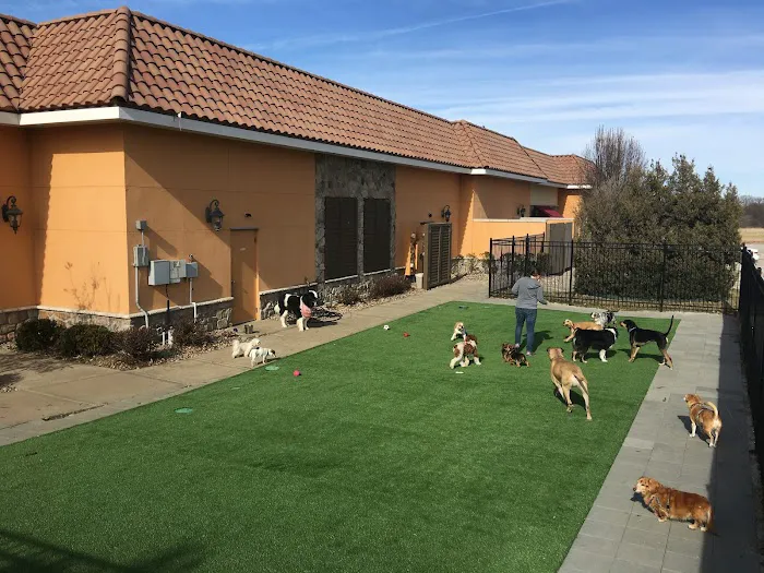 Cedar Creek Pet Hospital & Urgent Vet Care in Olathe Picture 6