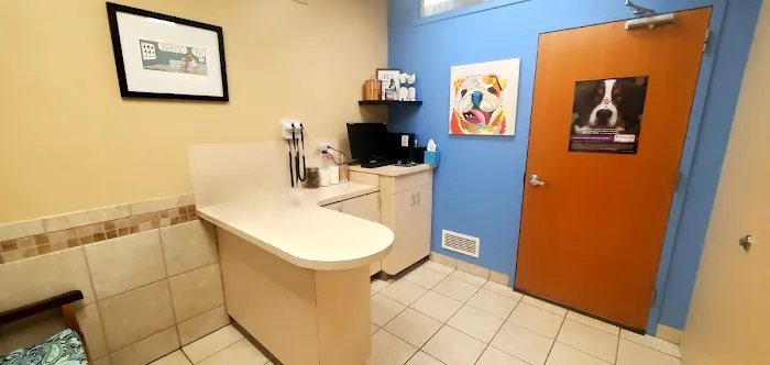 Cedar Creek Pet Hospital & Urgent Vet Care in Olathe Picture 7