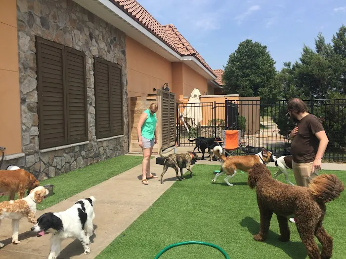 Cedar Creek Pet Hospital & Urgent Vet Care in Olathe Picture 8