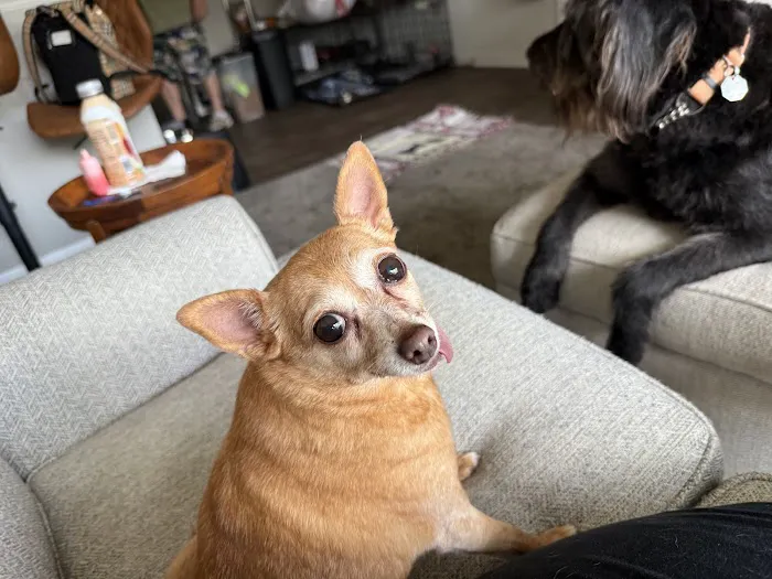 Mission Animal Clinic Picture 3