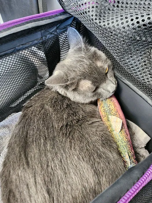 Mission Animal Clinic Picture 6