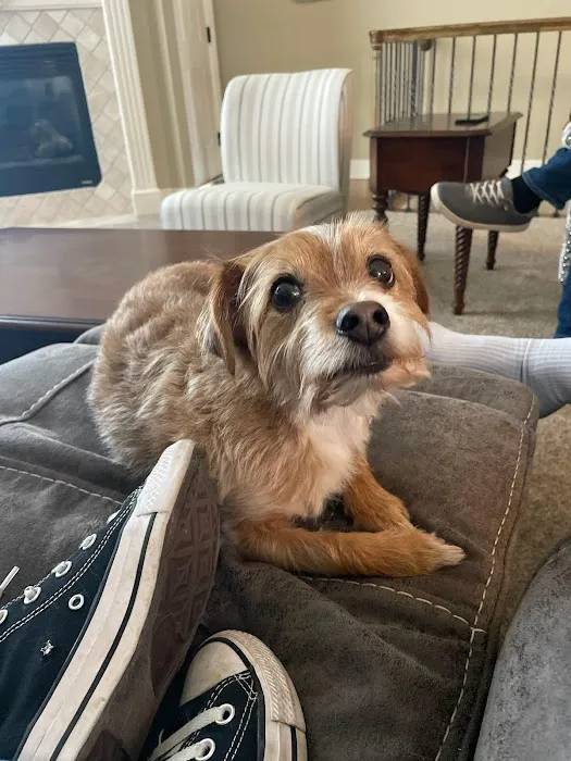 Dearborn Animal Clinic Picture 4