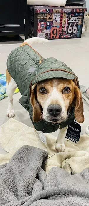 Dearborn Animal Clinic Picture 6