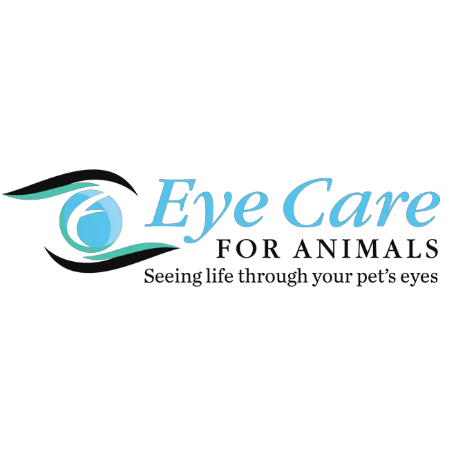 Eye Care for Animals - Mission Picture 2