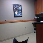 Eye Care for Animals - Mission