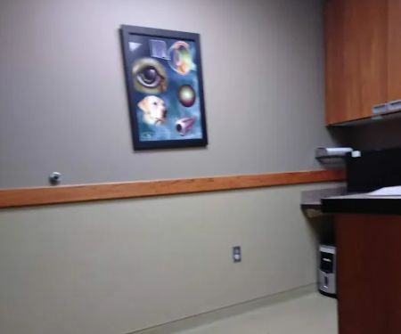 Eye Care for Animals - Mission