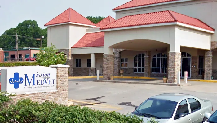 Eye Care for Animals - Mission Picture 4