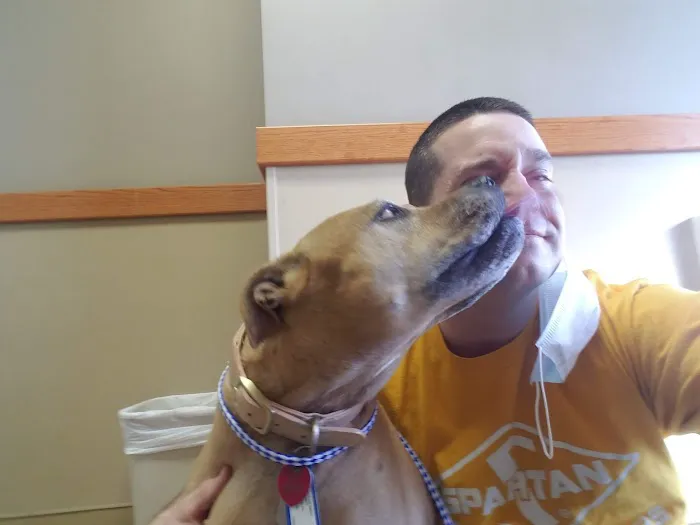 Mission MedVet: Senter David DVM Picture 2