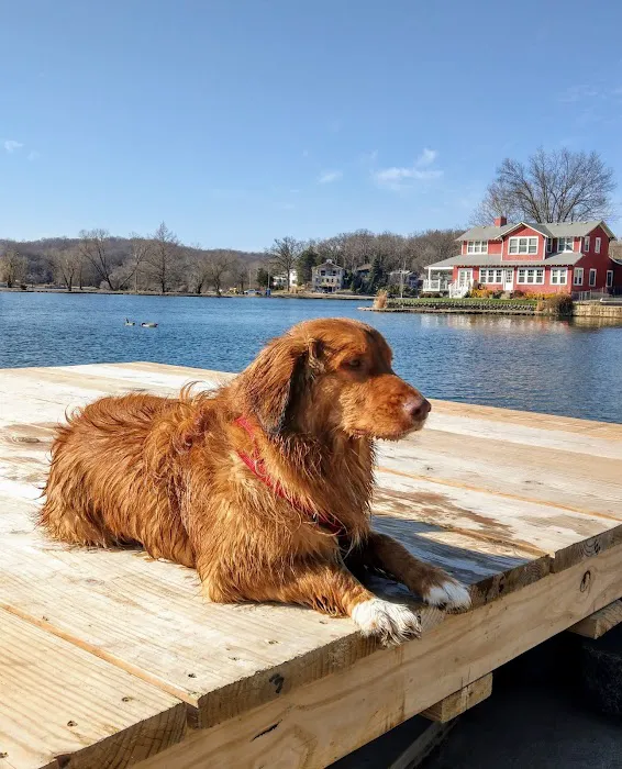 Mission MedVet: Senter David DVM Picture 3