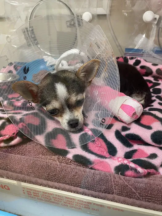 Mission Med Vet: Wilson Eric R DVM Picture 2