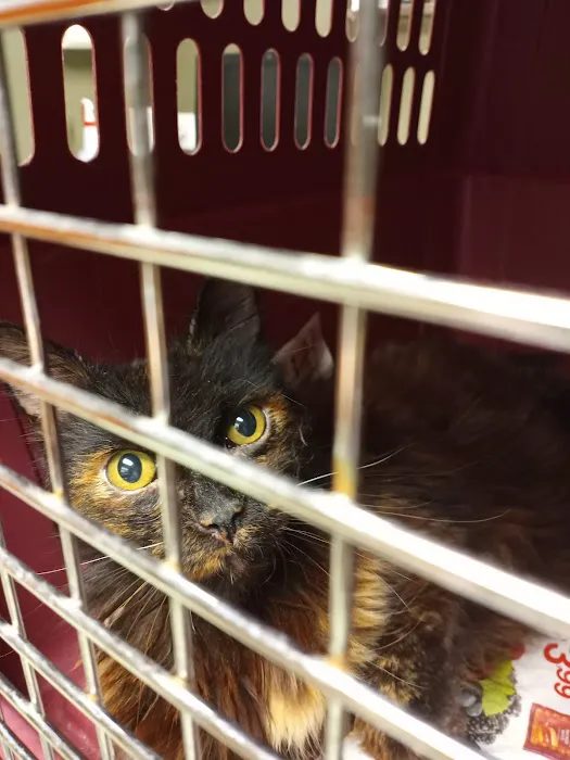 Mission Med Vet: Wilson Eric R DVM Picture 5