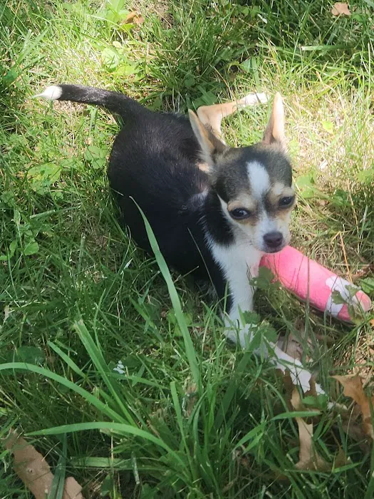 Mission Med Vet: Wilson Eric R DVM Picture 3