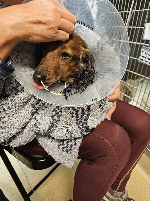 Mission Med Vet: Wilson Eric R DVM Picture 6