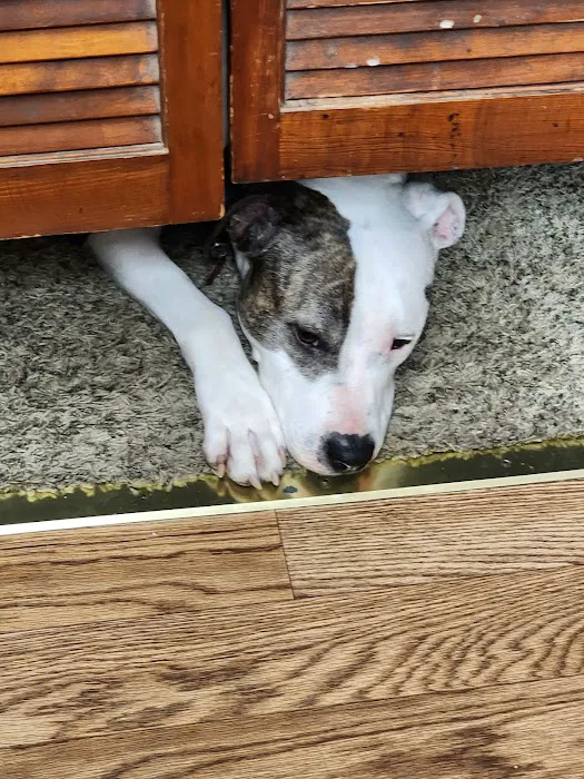 Mission Med Vet: Wilson Eric R DVM Picture 8