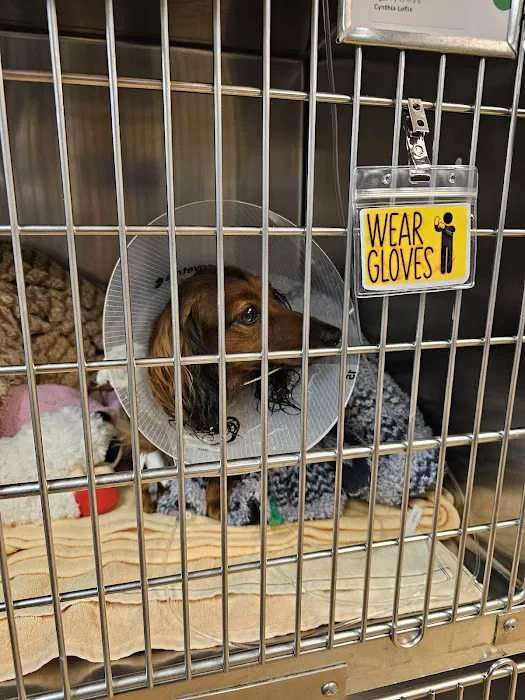 Mission Med Vet: Wilson Eric R DVM Picture 9