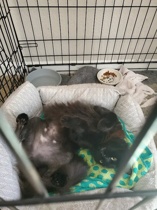 Mission Veterinary Emergency & Specialty Picture 1