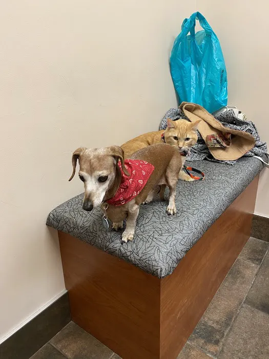 Southside Pet Hospital Picture 5