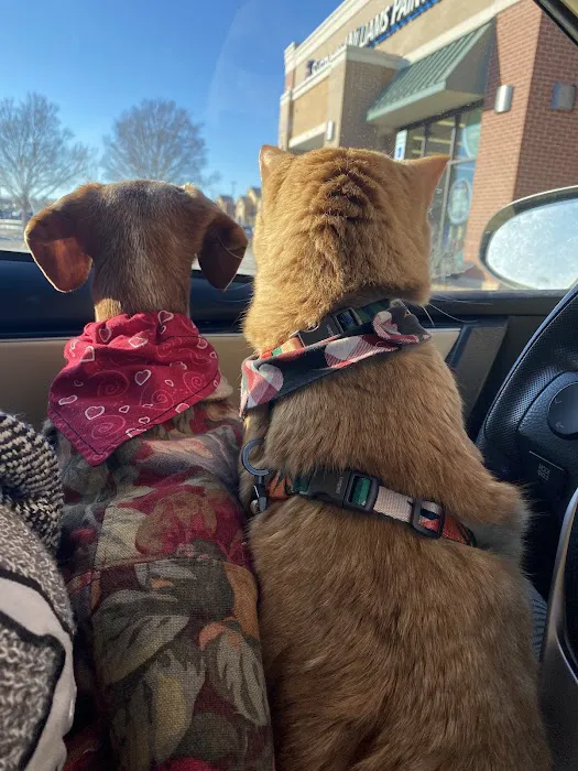 Southside Pet Hospital Picture 7