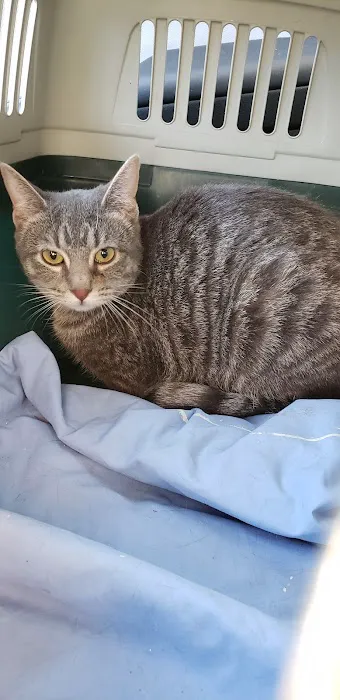 Bannister Veterinary Clinic Picture 4