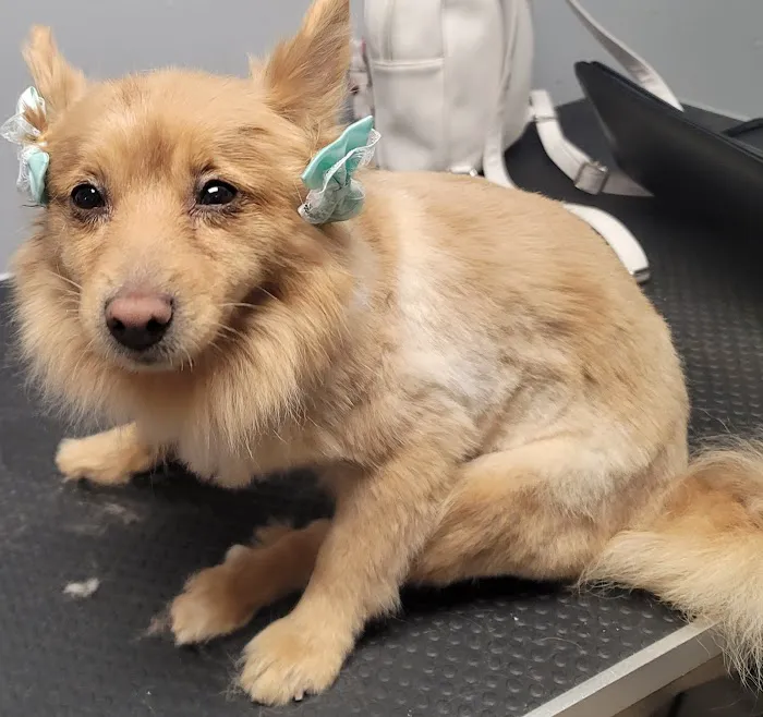 Bannister Veterinary Clinic Picture 3