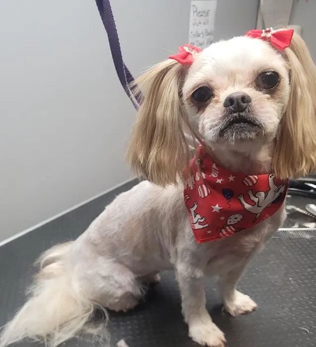 Bannister Veterinary Clinic Picture 2