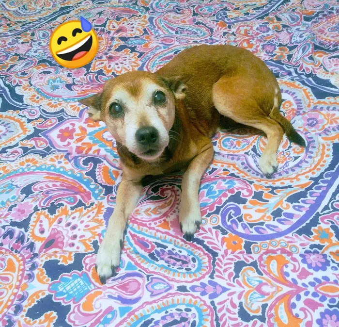 Bannister Veterinary Clinic Picture 5