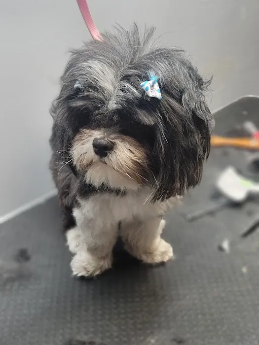 Bannister Veterinary Clinic Picture 1