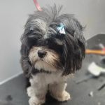 Bannister Veterinary Clinic