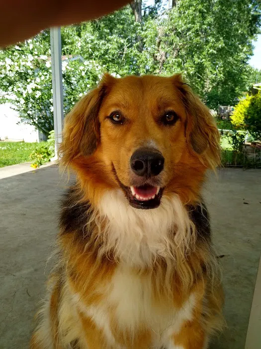 Bannister Veterinary Clinic Picture 9