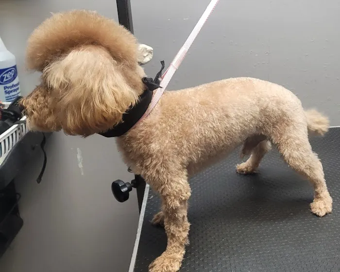 Bannister Veterinary Clinic Picture 8