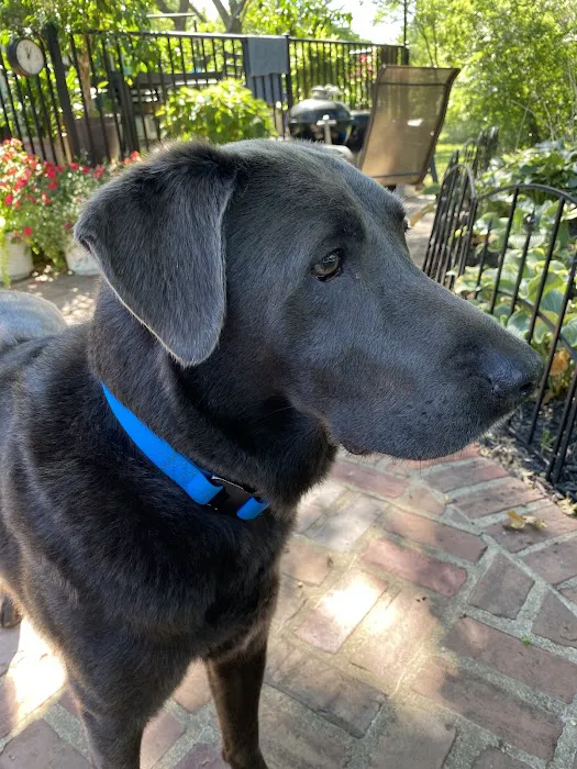 Whole Health Pet Center Picture 2