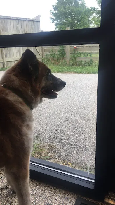 Whole Health Pet Center Picture 3