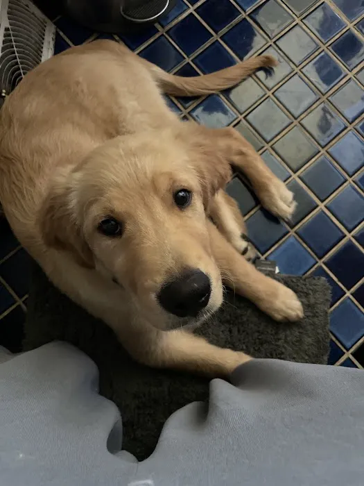 Whole Health Pet Center Picture 1