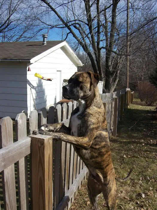 Whole Health Pet Center Picture 8