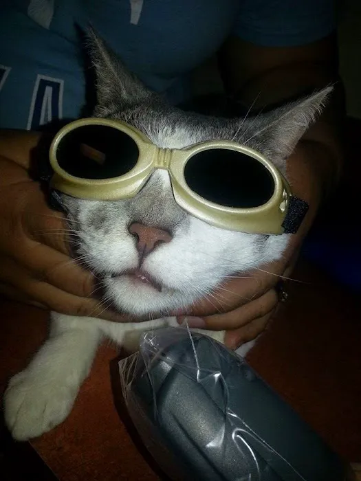 Whole Health Pet Center Picture 10