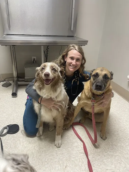 Raymore Veterinary Center Picture 3