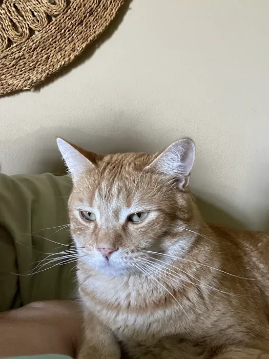 Raymore Veterinary Center Picture 1