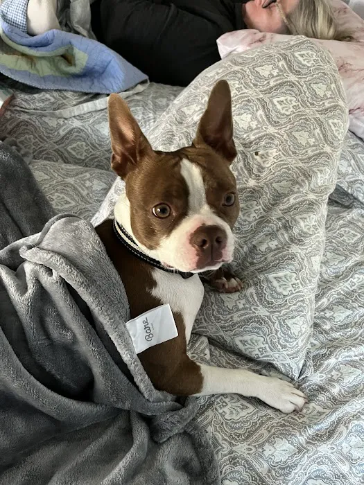 Raymore Veterinary Center Picture 6