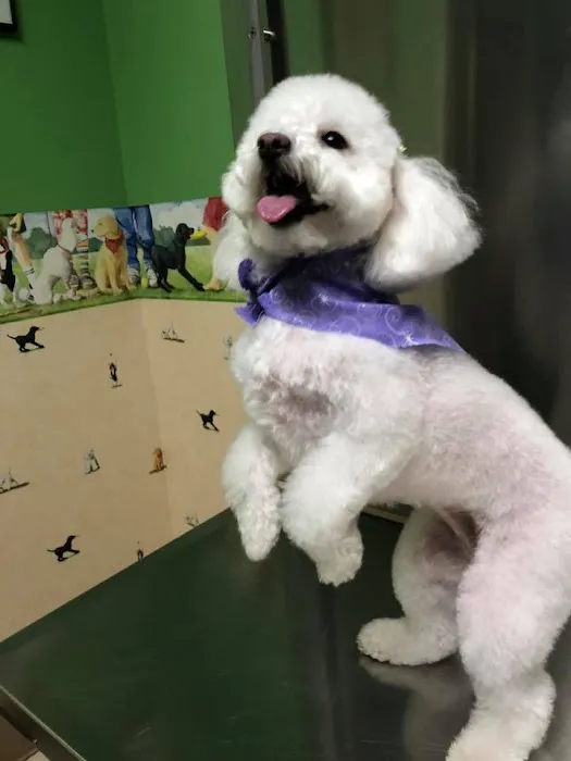 Raymore Veterinary Center Picture 8