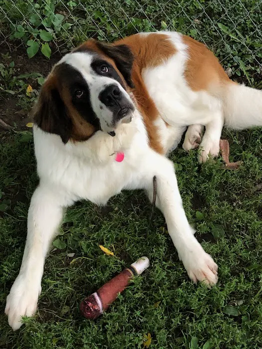 Raymore Veterinary Center Picture 9