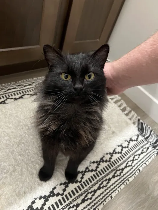 Raymore Veterinary Center Picture 7