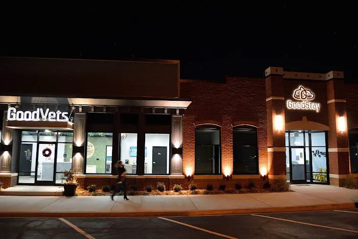 GoodVets Lee's Summit Picture 3