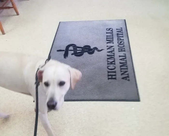 Hickman Mills Animal Hospital Picture 3