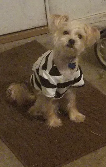 Hickman Mills Animal Hospital Picture 1